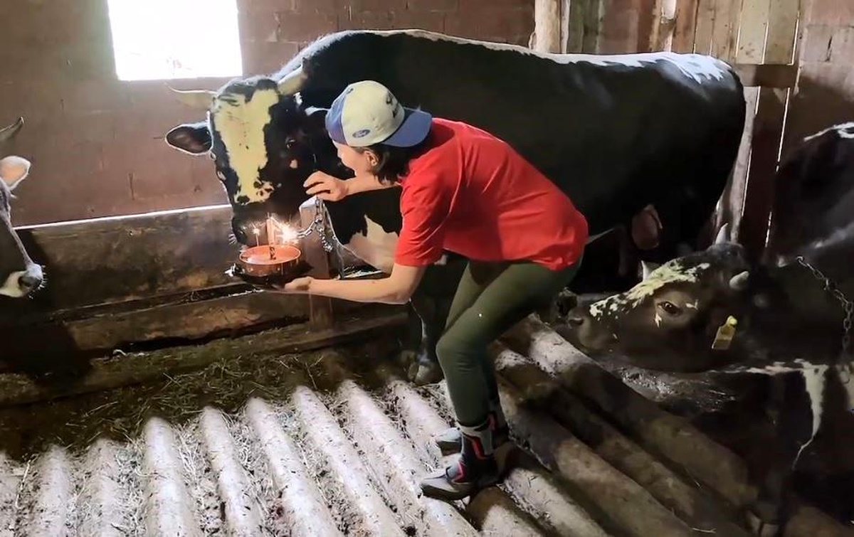 Özlem Öztürk, Ateş isimli boğasının doğum gününü sürpriz pastayla kutladı