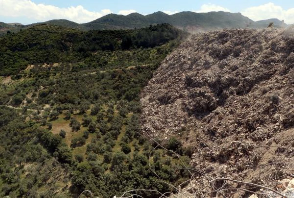 Hatay\'da ormana ve zeytinliğe dökülen molozlar ağaçlara zarar veriyor