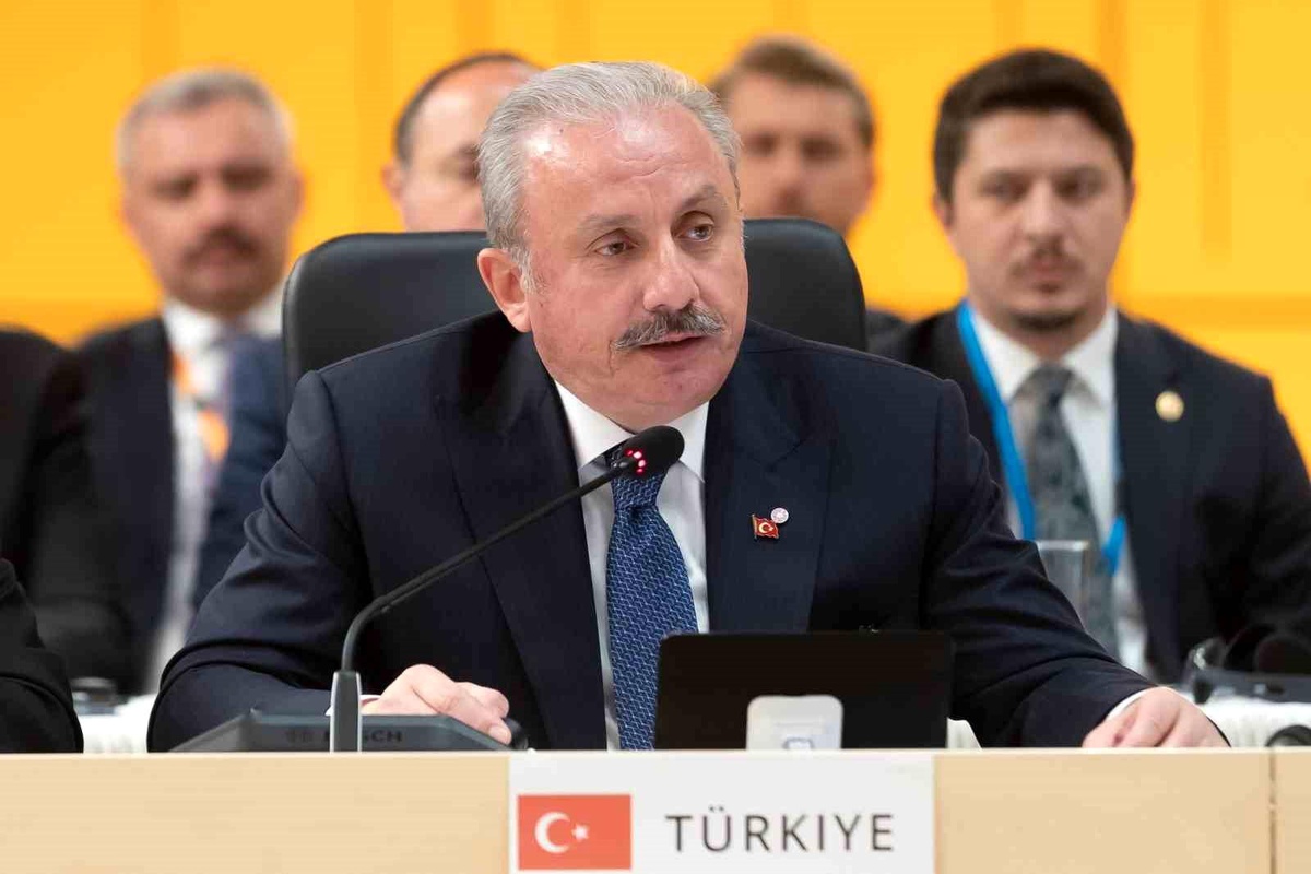 TBMM Başkanı Şentop: "AB dönüm noktasında"