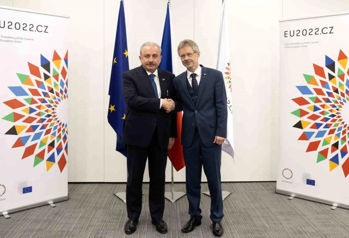 TBMM Başkanı Mustafa Şentop, Çekya Senato Başkanı ile görüştü