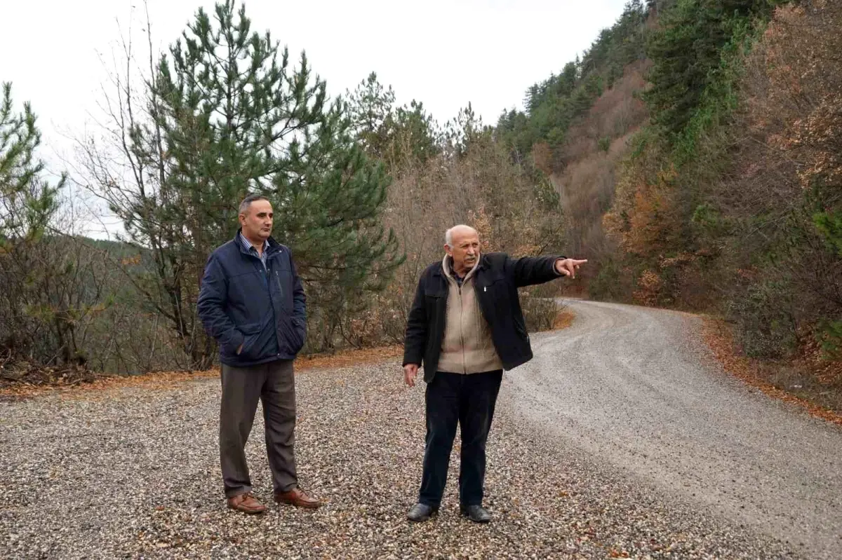 45 yıl sonra babasının kaza yaptığı yere giden adam gerçekleri öğrendi