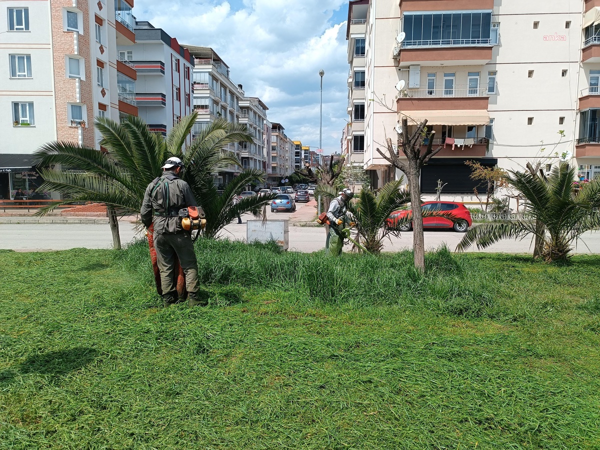 Atakum Belediyesi Park ve Bahçeler Müdürlüğü Bahar Temizliği Başlattı