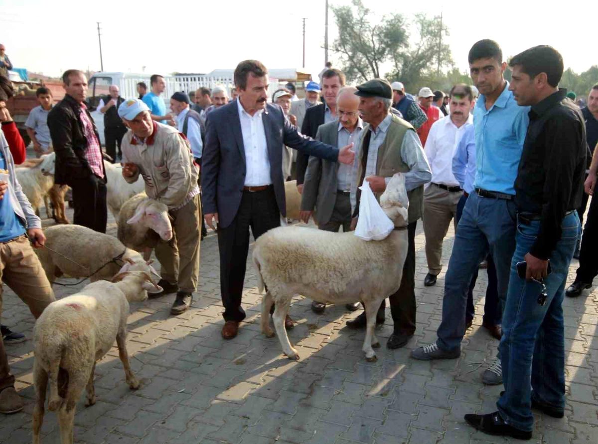 Bursa ve ilçelerinde Şap Hastalığı Tedbirleri Kaldırıldı