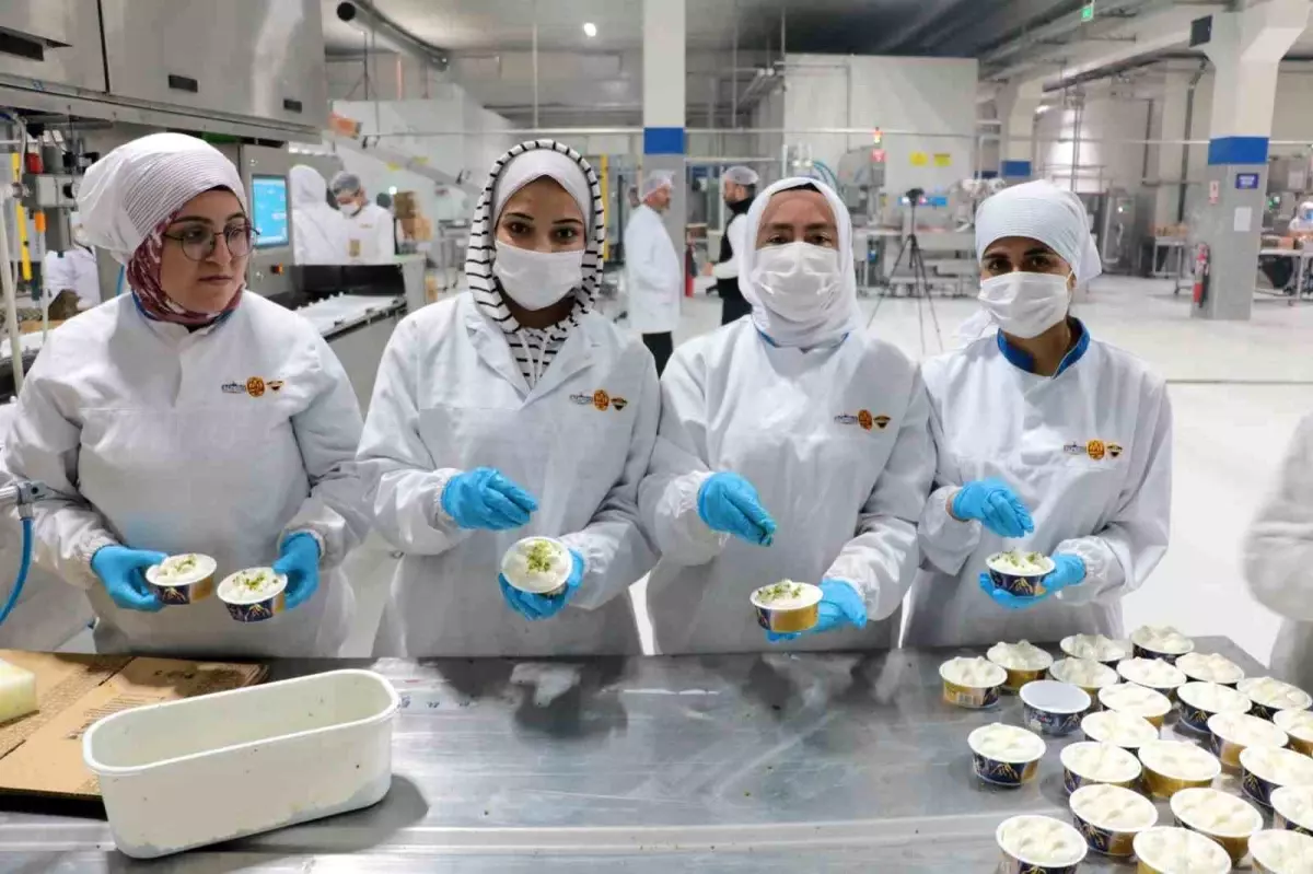 Kahramanmaraş\'ta Alpedo Dondurma Deprem Sonrası Üretime Geçti