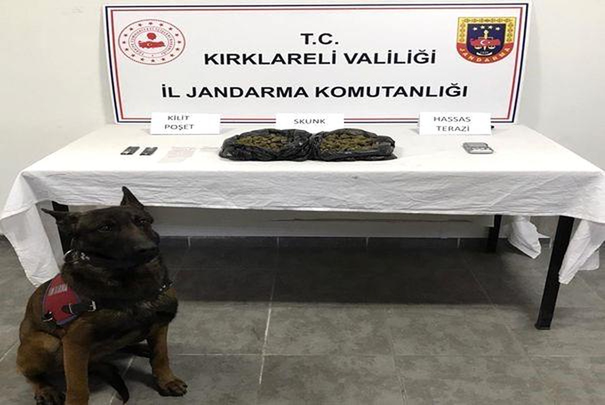 Kırklareli Jandarması, Uyuşturucu Kaçakçılığı ve Mali Suç Operasyonunda 16 Şüpheli Yakaladı