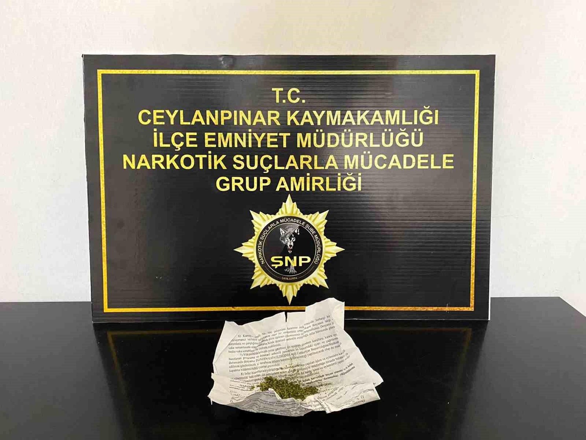 Şanlıurfa\'da Uyuşturucu Operasyonu: Kenevir Bitkisi Ele Geçirildi