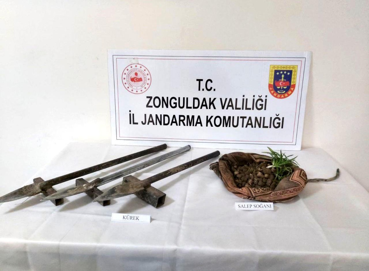 Zonguldak\'ta Salep Soğanı Toplayan 3 Kişiye İşlem Yapıldı