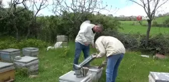 Siirtte Yağmurlar Arıcıları Sevindirdi