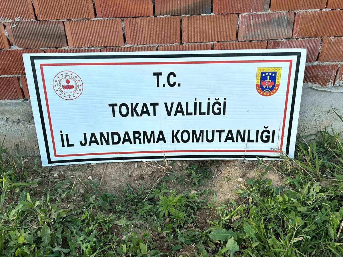 Tokat\'ta Kenevir Operasyonu: 188 Kök Kenevir Ele Geçirildi