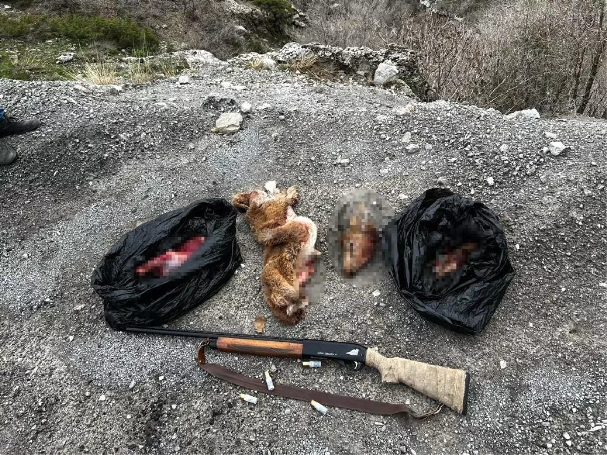 Şırnak\'ta Yaban Keçisi Kaçak Avlayanlara 265 Bin Lira Cezai İşlem