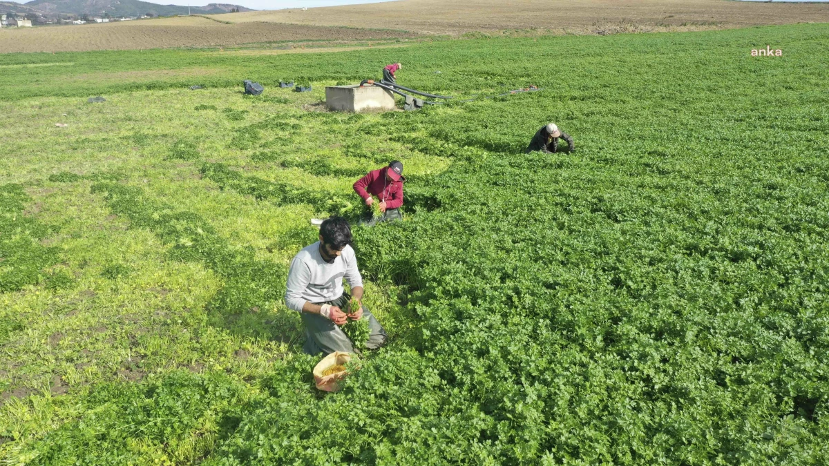 Adana Büyükşehir Destekli Meryem Kadın Kooperatifi, Kadının, Küçük Çiftçinin ve Depremzedenin Yanında