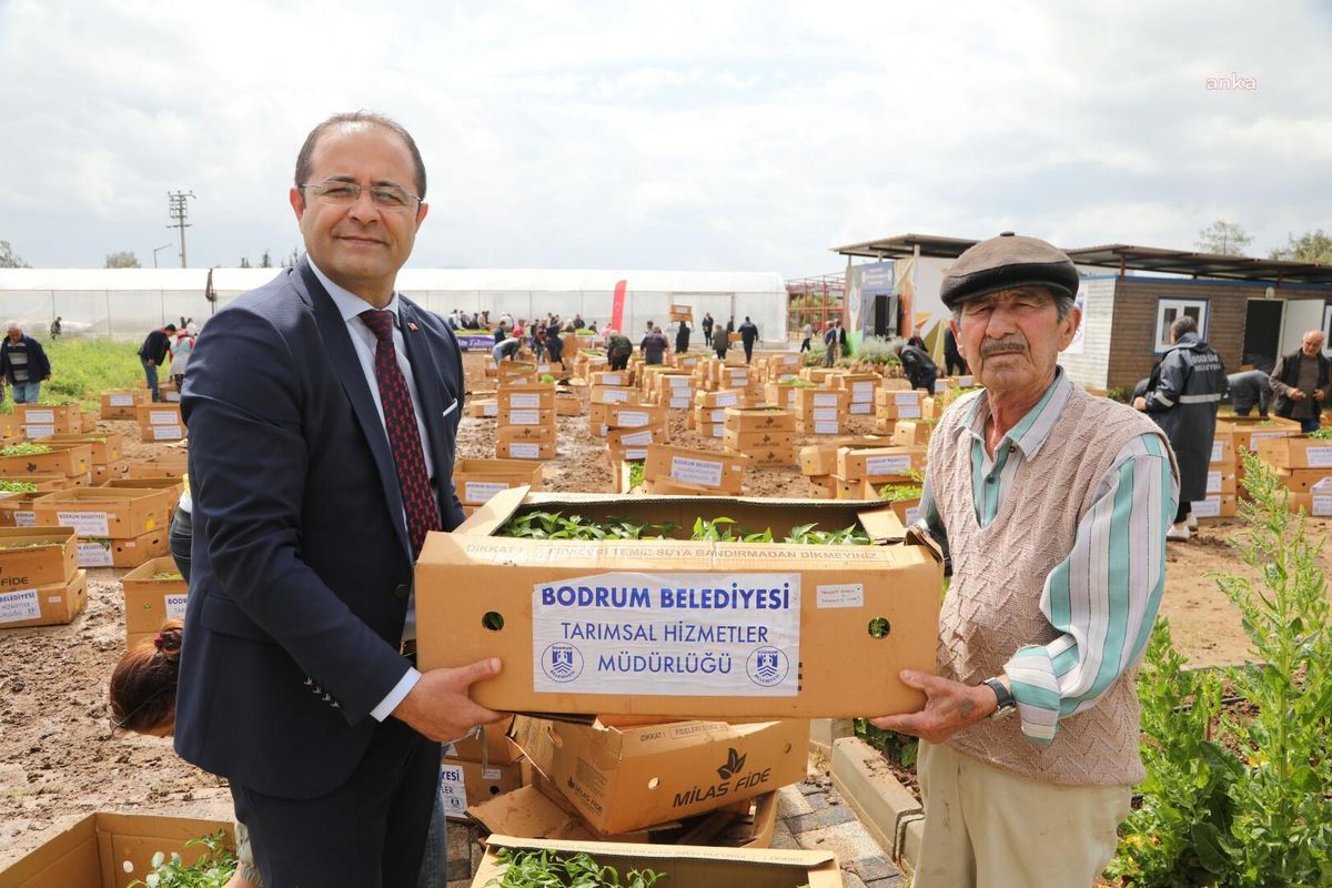 Bodrum Belediyesi, 350 Bin Fideyi Üreticiyle Buluşturdu
