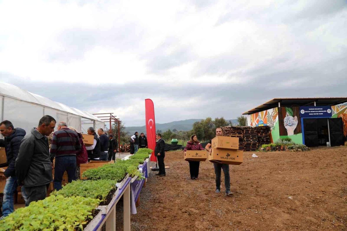 Bodrum\'da 350 bin fide dağıtıldı