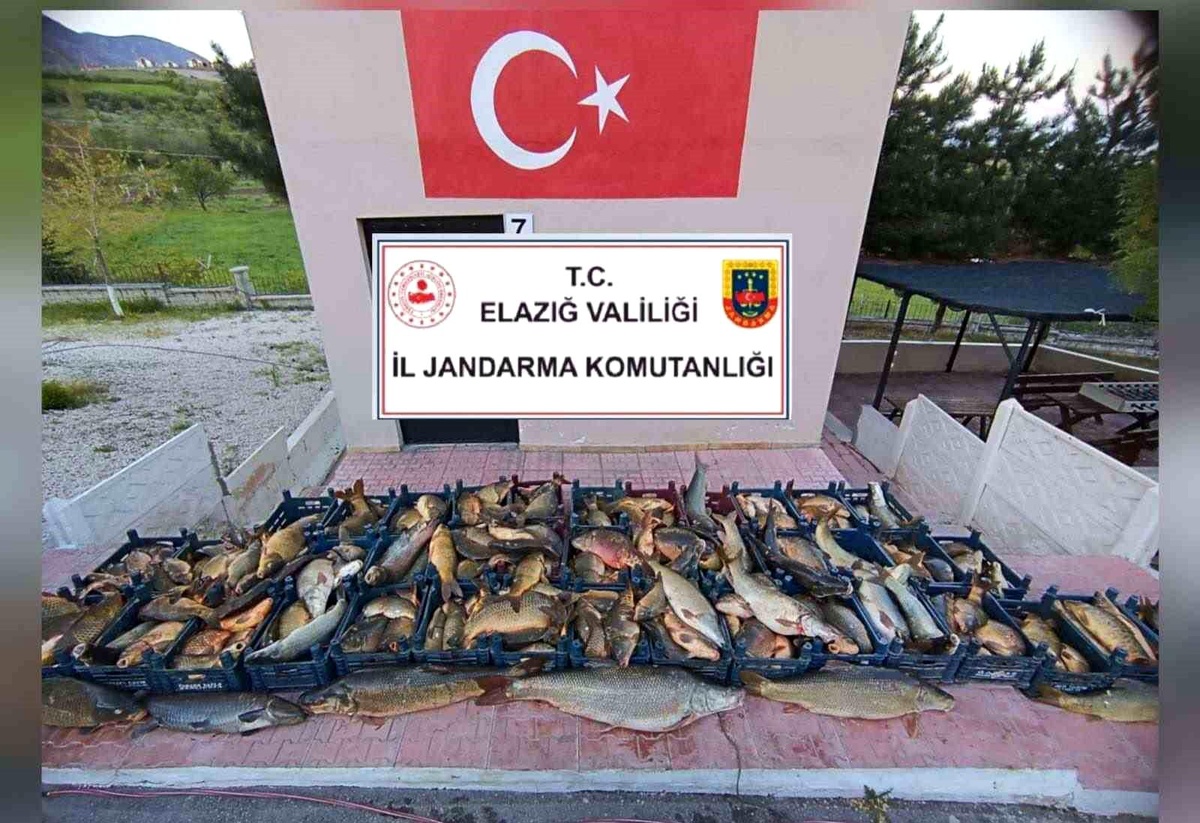 Elazığ\'da kaçak balık avına 16 bin lira ceza