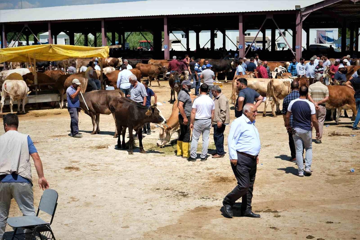 Hayvan hareketleri kısıtlaması 28 Nisan\'da son buluyor