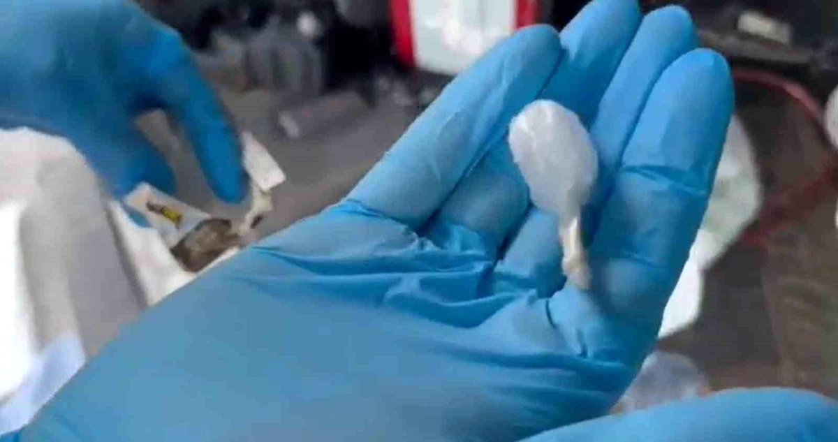 Kayseri\'de Narkotik Operasyonu: 38 Şüpheli Yakalandı