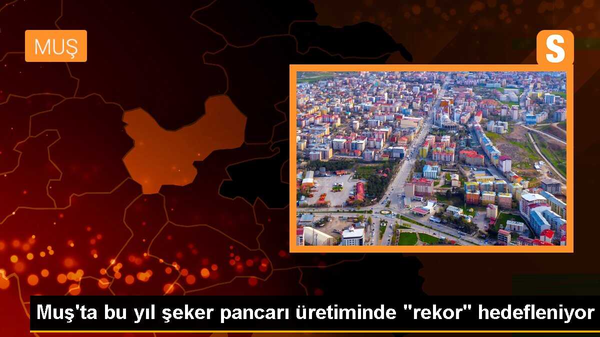 Muş Şeker Fabrikası, 2 bin 115 çiftçiyle rekor şeker pancarı üretimi hedefliyor