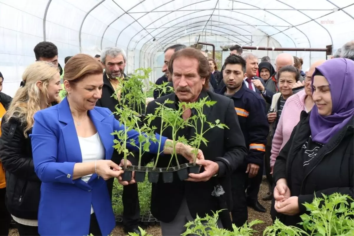 Safranbolu Belediyesi, Vatandaşlara Ata Tohumu Dağıtıyor