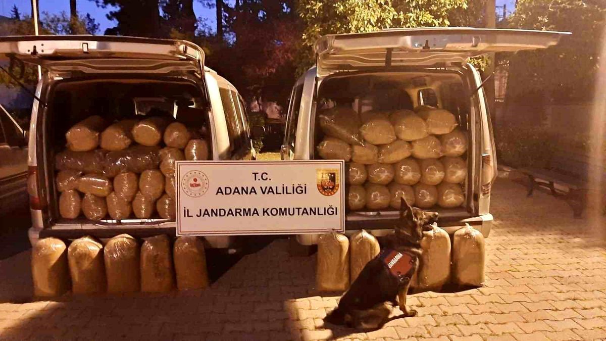 Adana Jandarma Ekipleri 650 Kilo Kaçak Tütün Ele Geçirdi