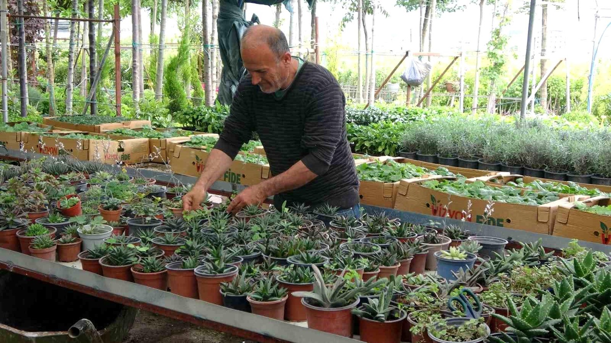 Depremlerde hayatını kaybedenlerin mezarları için alınan çiçekler esnafın yüreklerini yaktı