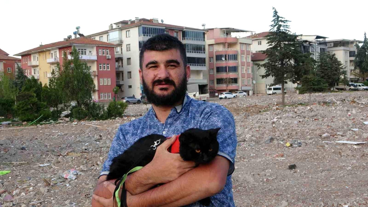 Malatya\'da depremde enkaz altında kalan kedi Pantere gözü gibi bakılıyor