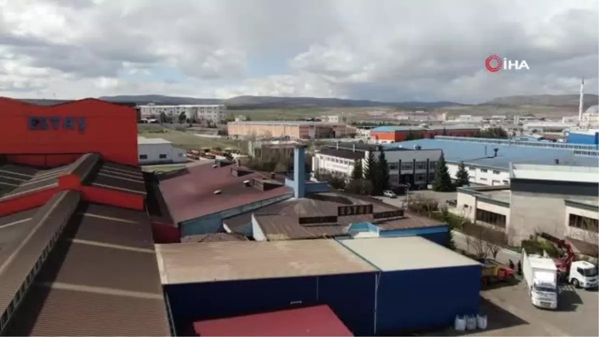 Sivasta ESTAŞ fabrikasının sevimli misafirleri leylekler yuvalarına kavuştu