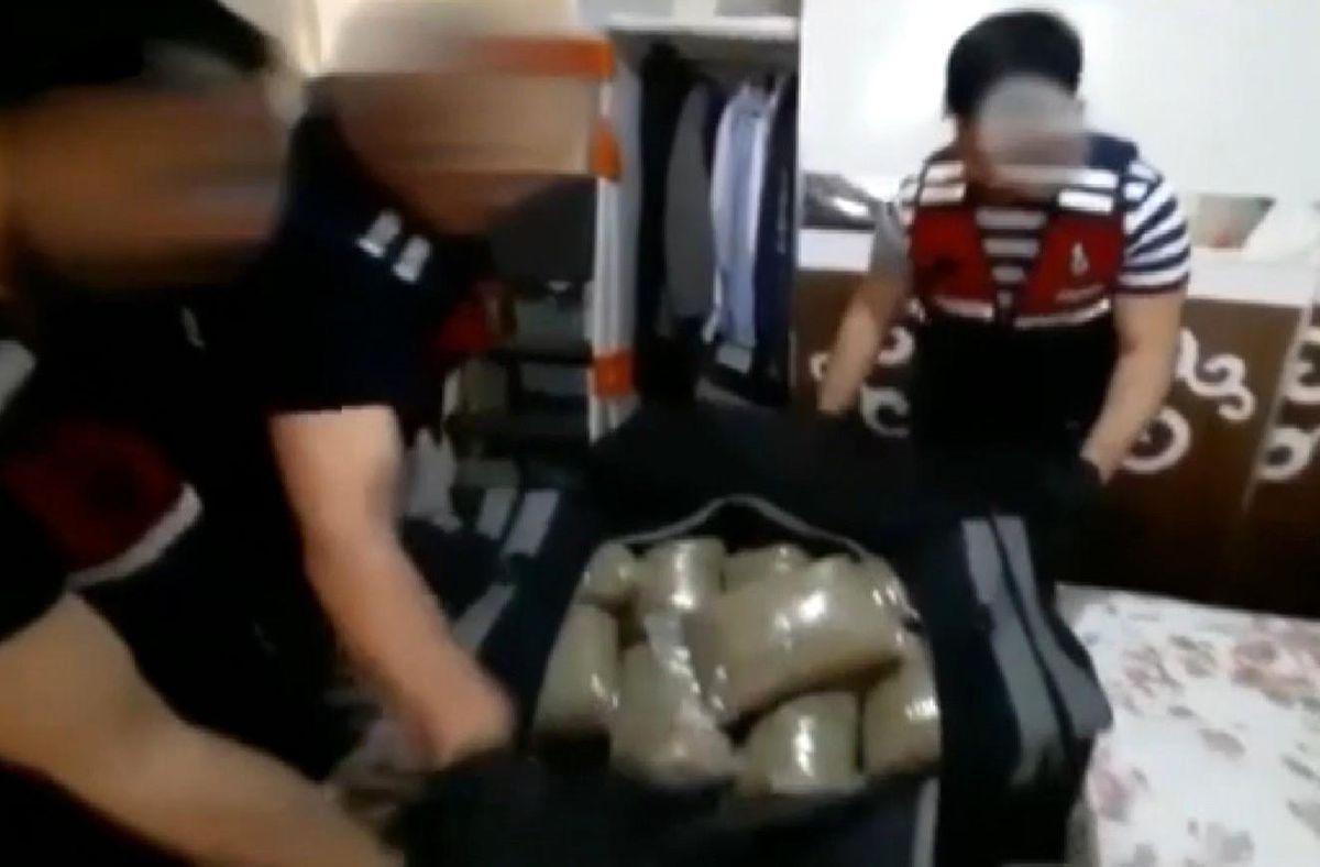 Gaziantep\'te 33 kilo bonzai ele geçirildi, 5 şüpheli tutuklandı