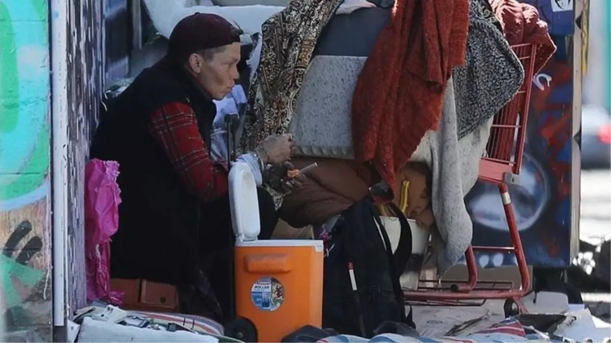 Güzelliğiyle dillere destan olan Model Loni Willison, bir marketin çöp kutusunda yiyecek ararken görüntülendi