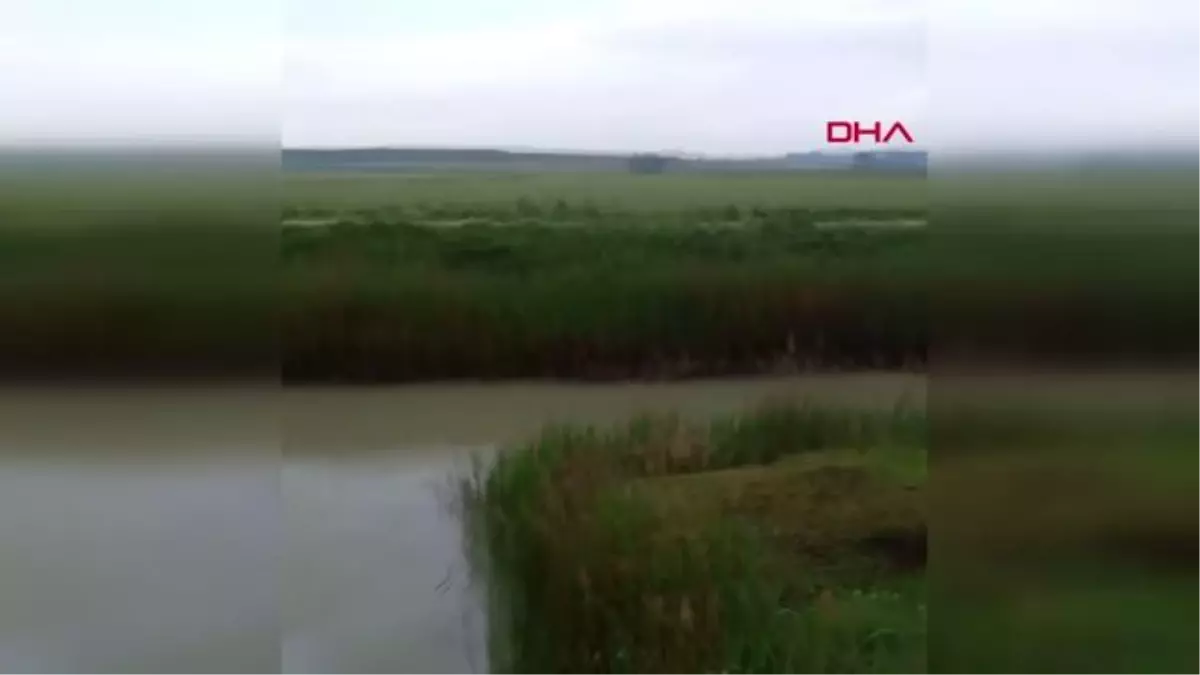 Hafif ticari araç sulama kanalına düştü, sürücü hayatını kaybetti