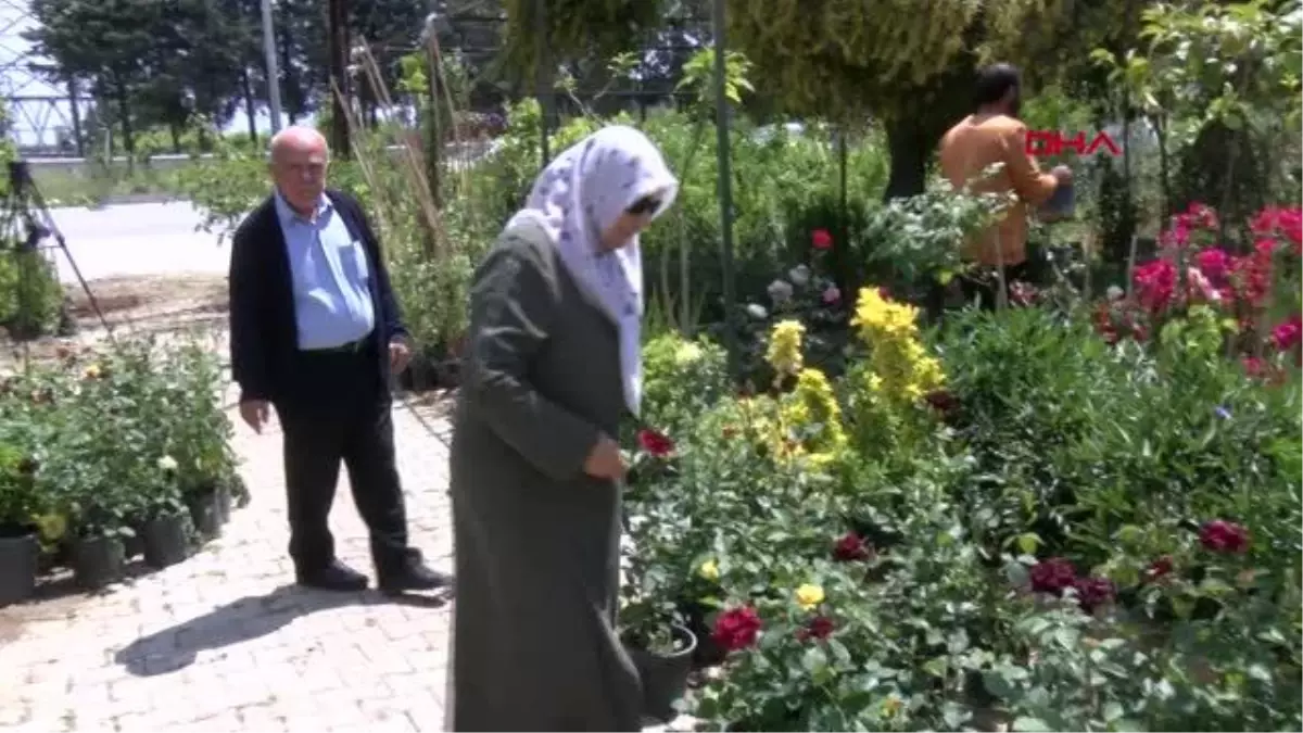 Hatay\'da deprem sonrası çiçekçiler sadece mezarlıklara çiçek satıyor