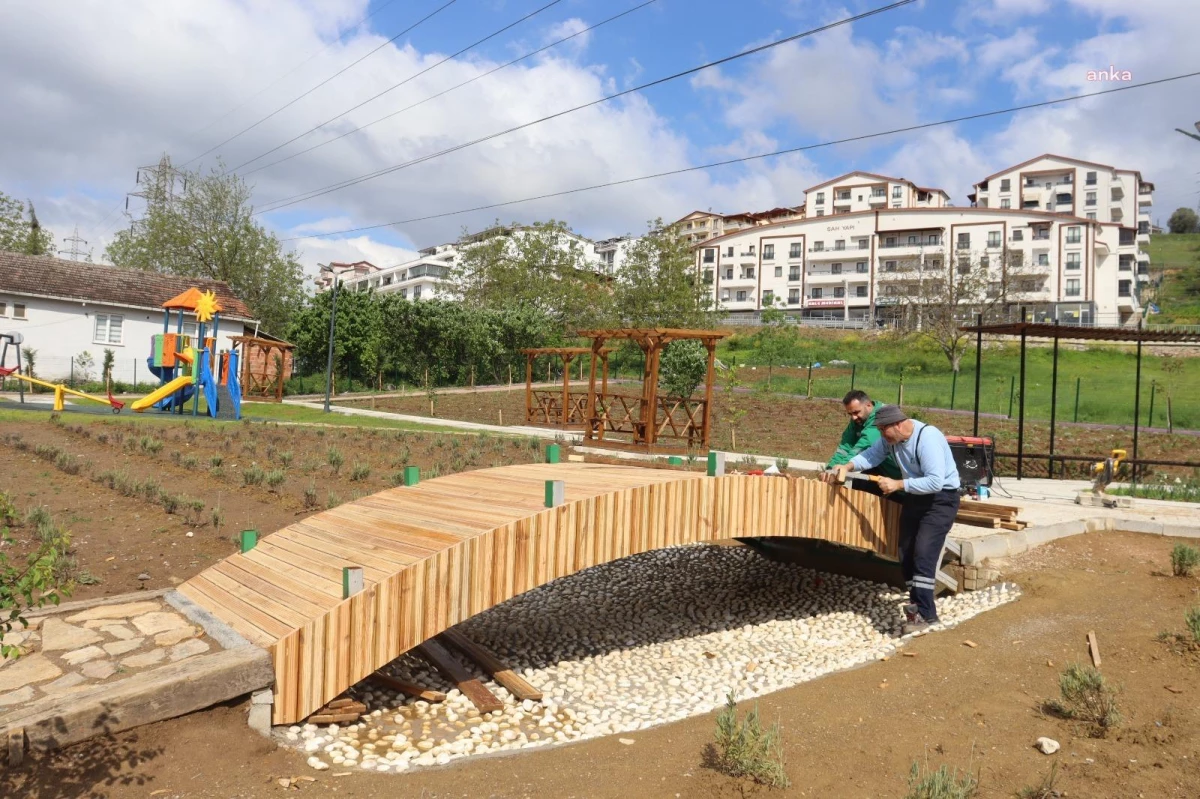 İzmit Belediyesi Gündoğdu Mahallesi\'nde Lavanta Parkı Yapıyor