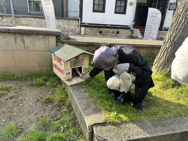 Kastamonu'da kuyrukları kesilen kediler için 'kara büyü' iddiası Kastamonu'da kuyrukları kesilen kediler için 'kara büyü' iddiası