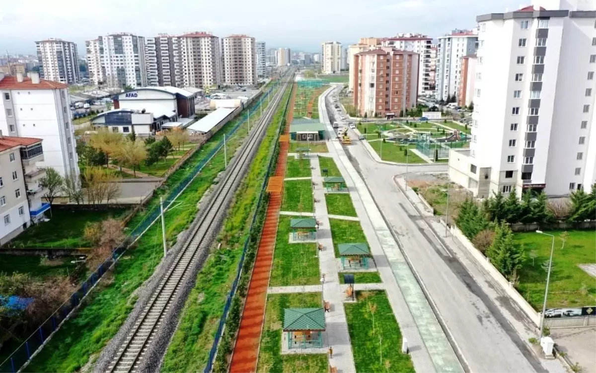 Küçük Dostlar Kedi Kasabası Açılıyor