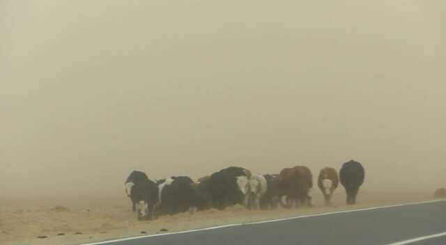 Moğolistan'da Kum Fırtınası Hayatı Felç Etti