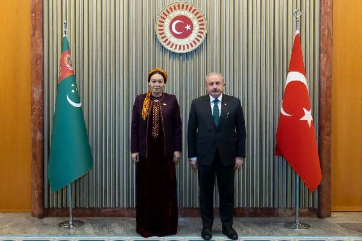 TBMM Başkanı Şentop, Azerbaycan Milli Meclisi Başkanı Gafarova ile görüştü (2)