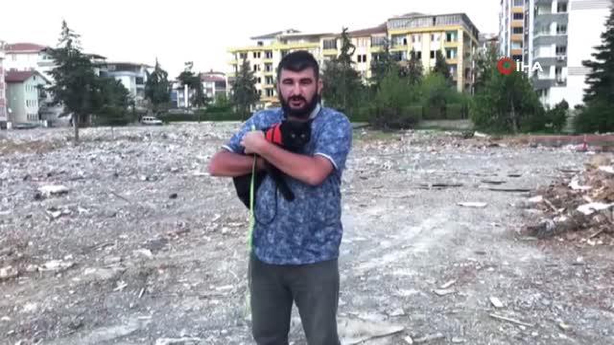 Malatya\'da yıkılan evin enkazında 11 gün sonra bulunan kediye sahip çıkıyor