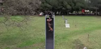 Askerlerin Can Yoldaşları Böyle Eğitiliyor