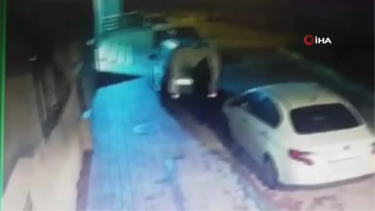 Apartmanın zil paneli çalındı