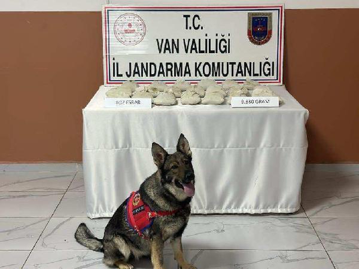 Van\'da 9 Kilo Esrar Ele Geçirildi