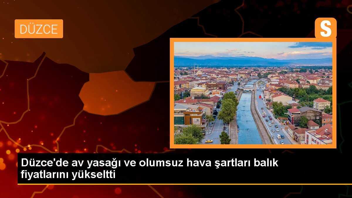 Düzce\'de av yasağı ve olumsuz hava şartları balık fiyatlarını yükseltti