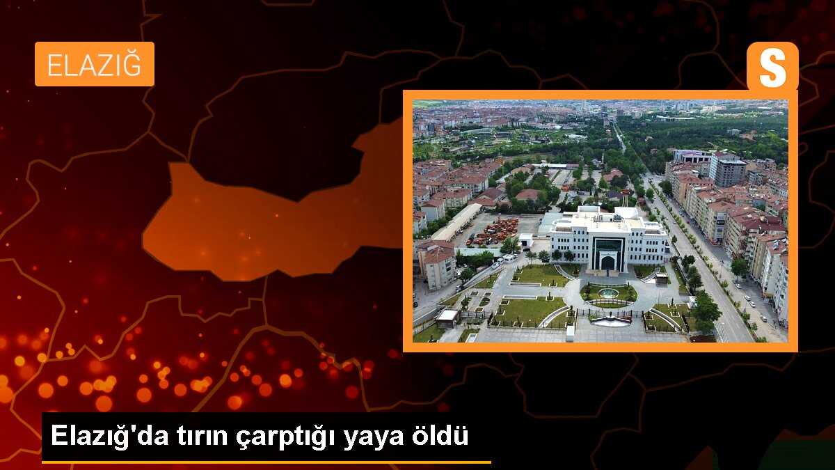 Elazığ\'da tırın çarptığı yaya hayatını kaybetti