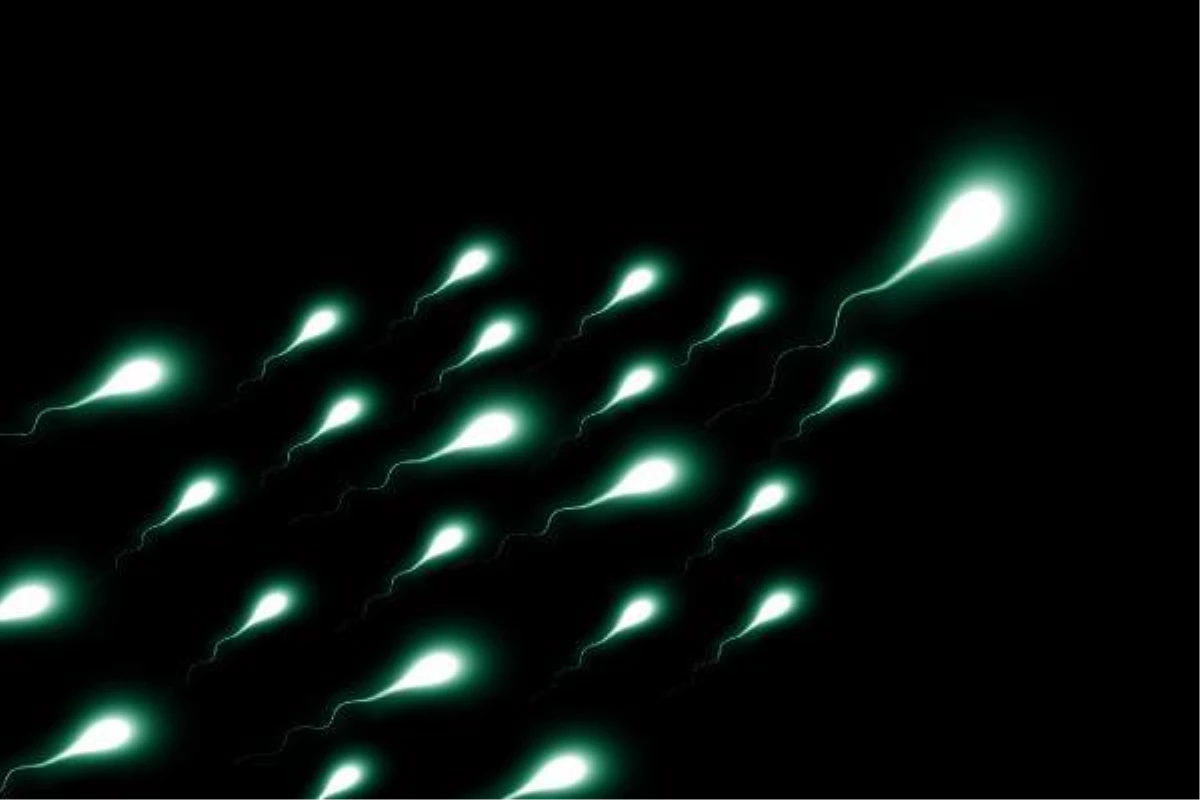 Hollanda\'da Sperm Bağışı Yapan Adamın Yasaklanması Kararlaştırıldı