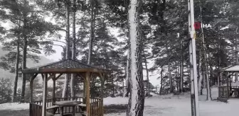 Sivas'ta Nisan ayının sonunda etkili olan kar yağışı hayrete düşürdü