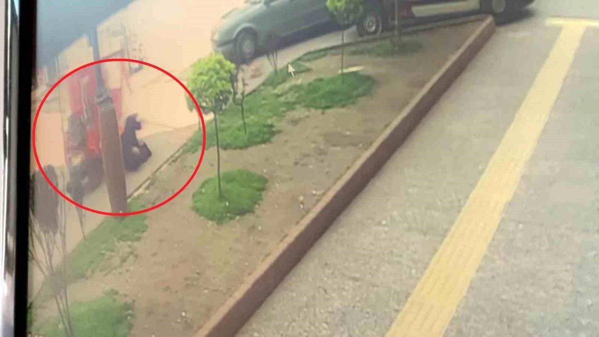 Sinopta akülü motosiklet yaya çarptı, yaralı hastaneye kaldırıldı