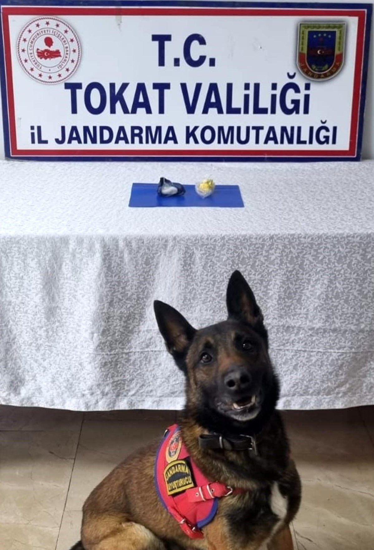 Tokatta uyuşturucu ticareti yapan 3 kişi hakkında adli işlem başlatıldı