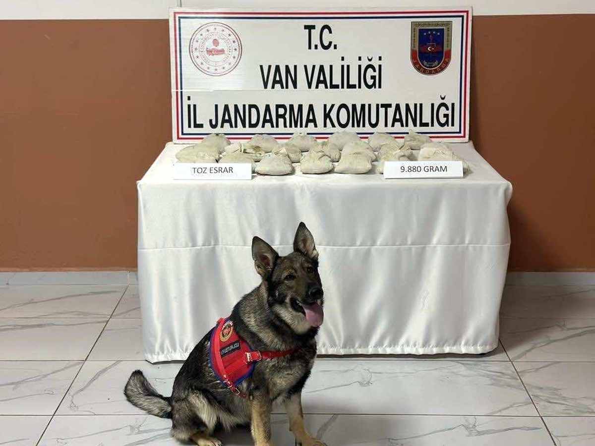 Van\'da 9 Kilo 880 Gram Toz Esrar Ele Geçirildi