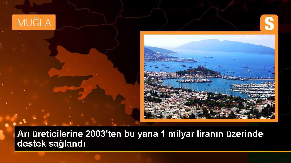Arı üreticilerine 2003\'ten bu yana 1 milyar liranın üzerinde destek sağlandı