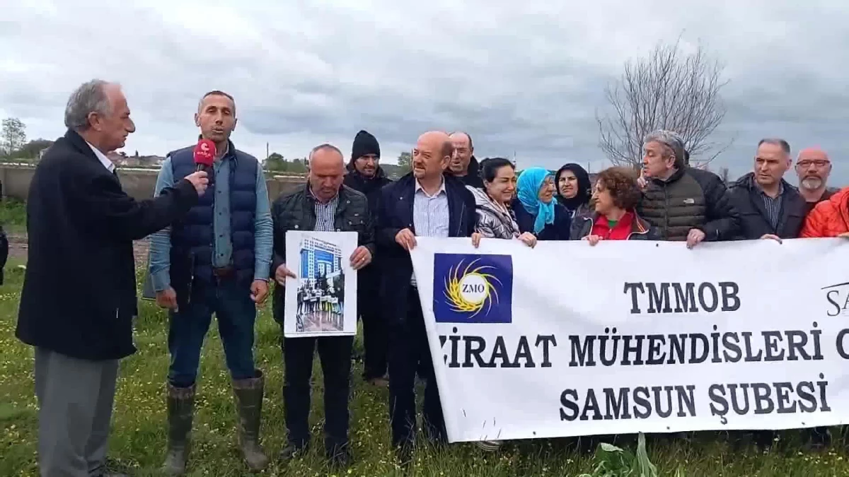 Bafralı Çiftçiler, Samsun Büyükşehir Belediyesi\'nin Hal Porjesine Tepki Gösterdi: "Bu Bölge, Sit Alanında Olup, Dere Yatağı Niteliğindedir.