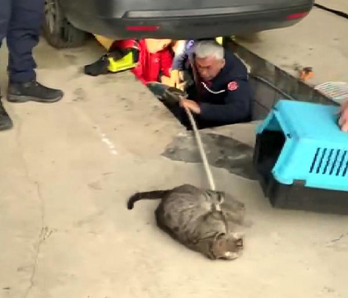 Bahçeşehir\'de otomobilin altına giren kedi ve yavruları itfaiye tarafından kurtarıldı