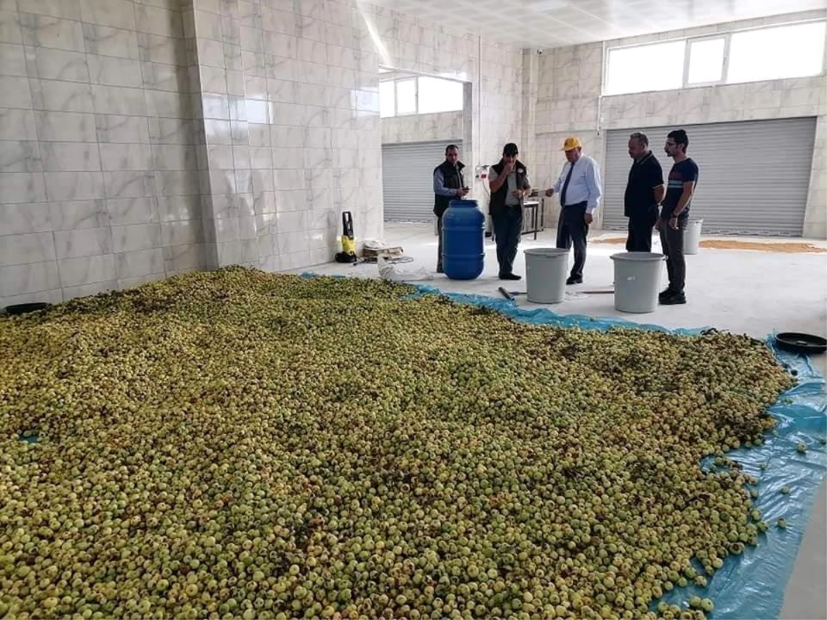 Bayburt Belediyesi Yöresel Ürünler ve Turşu Fabrikası çiftçiye kazandırıyor